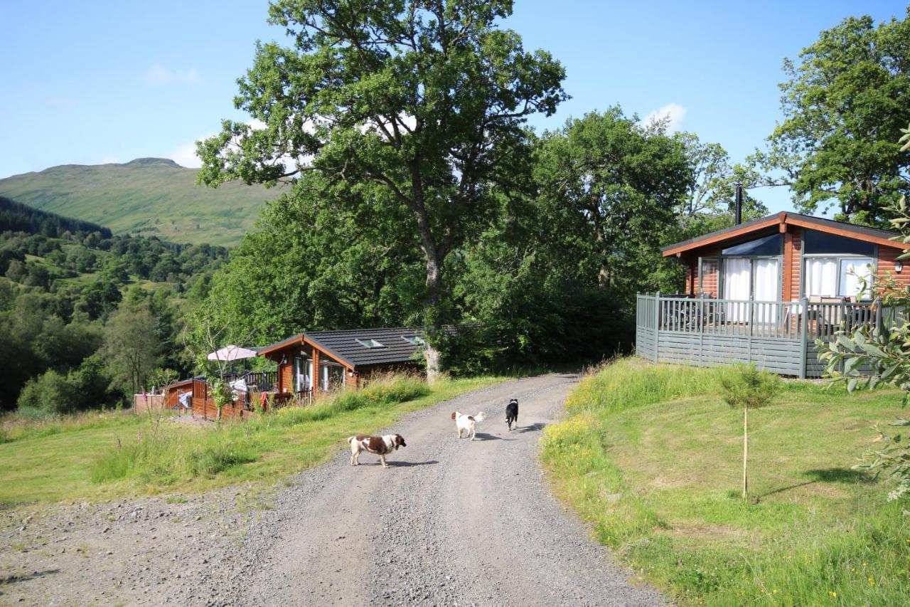 Balquhidder Braes Holiday Park Lodges, Mostly With Hot Tubs And Pet Friendly, Ev Facilities 로큰헤드 외부 사진