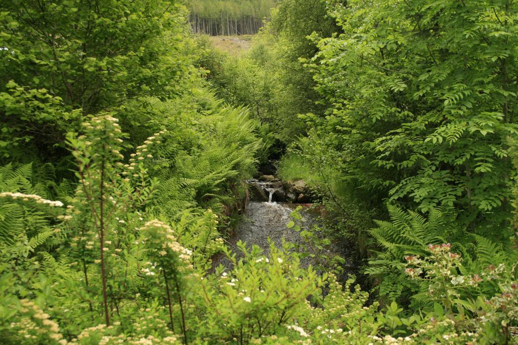 Balquhidder Braes Holiday Park Lodges, Mostly With Hot Tubs And Pet Friendly, Ev Facilities 로큰헤드 외부 사진