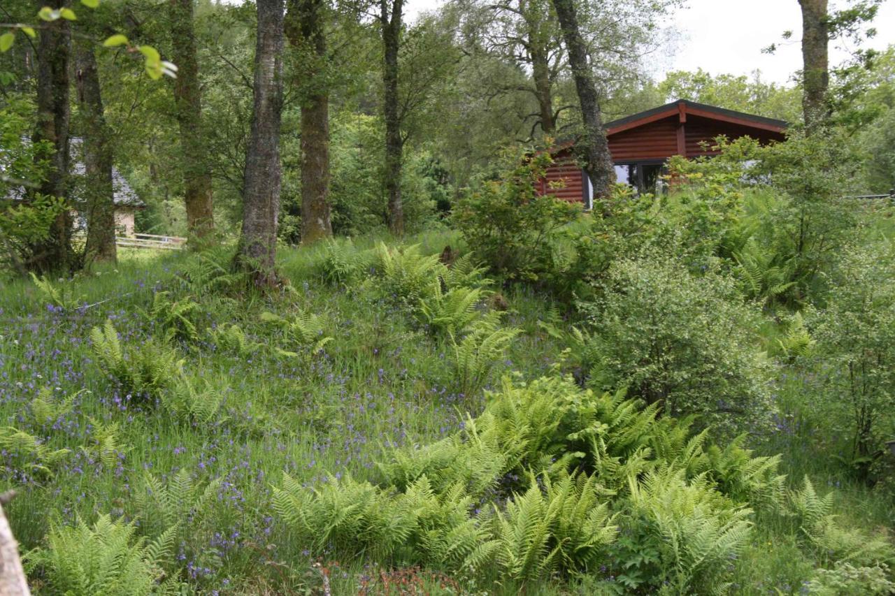Balquhidder Braes Holiday Park Lodges, Mostly With Hot Tubs And Pet Friendly, Ev Facilities 로큰헤드 외부 사진